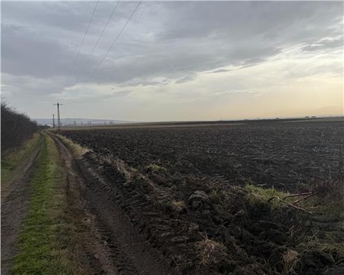 Teren extravilan in EXCLUSIVITATE 20300 mp in Sura Mica