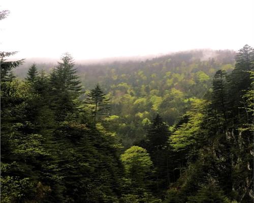 Casa de vacanta sau pensiune zona Porumbacu de Sus