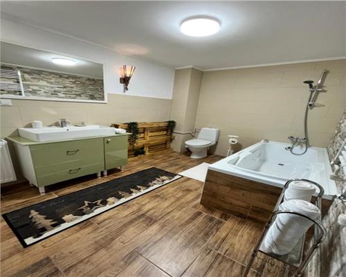 Casa de vacanta sau pensiune zona Porumbacu de Sus