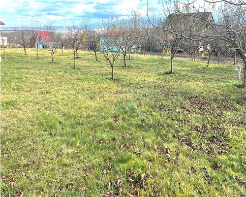 Teren intravilan 1000 mp utilitati Daia Noua 10 minute de Sibiu