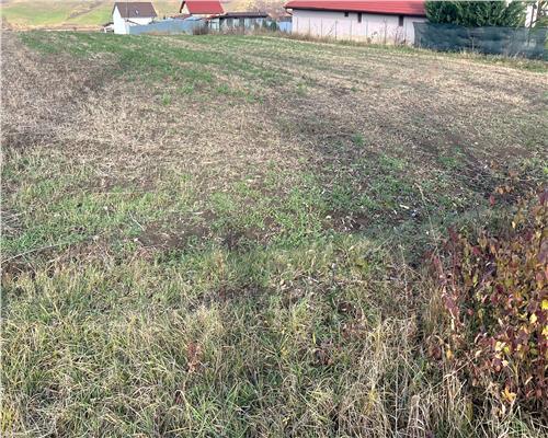 Teren intravilan 1570 mp utilitati intre case pe strada asfaltata