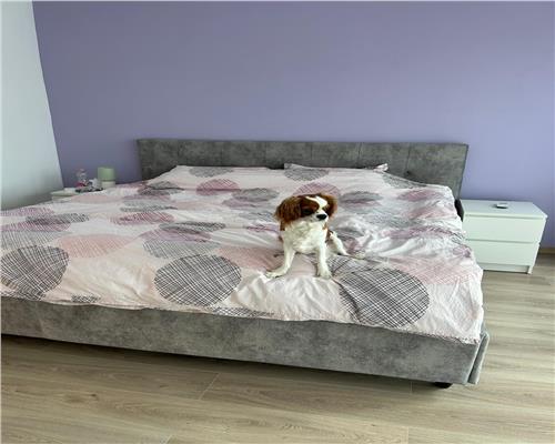 Casa 4 camere curte 200 mp  si carport Arhitectilor