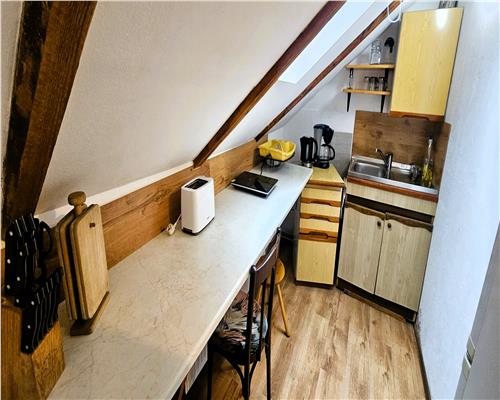 Apartament 3 camere 50mp la casa Pet Friendly zona Centrala