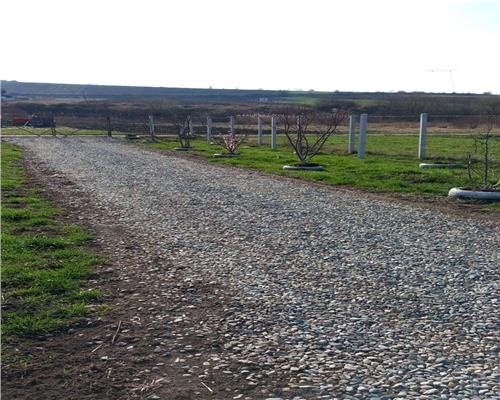 Teren cu apa si curent 700 mp in Sura Mare