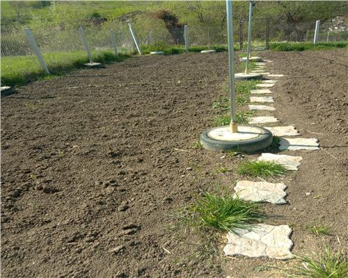 Teren cu apa si curent 700 mp in Sura Mare