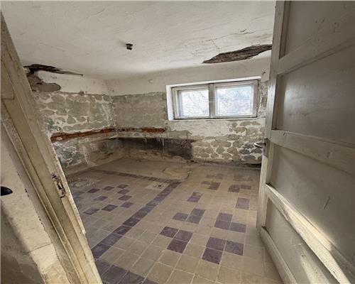 Casa cu 3 camere si 325 mp teren in Trei Stejari