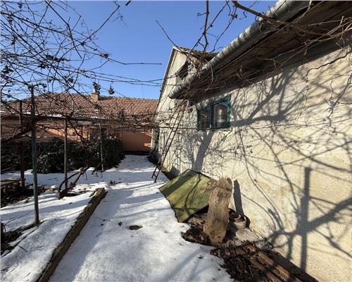 Casa cu 3 camere si 325 mp teren in Trei Stejari