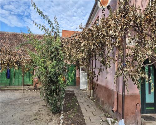 Casa 4 camere cu teren de 1900 mp in comuna Altana