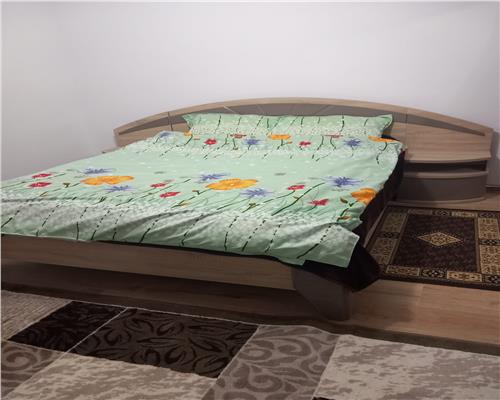 Casa inviduala cu 3 camere Sura Mare 540 mp teren