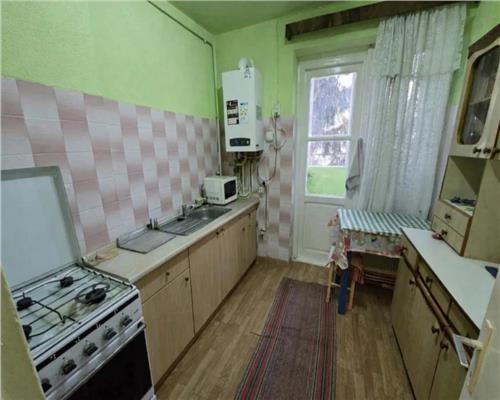 Apartament 2 camere etaj 3 Terezian