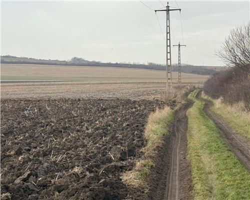 Teren extravilan in EXCLUSIVITATE 20300 mp in Sura Mica