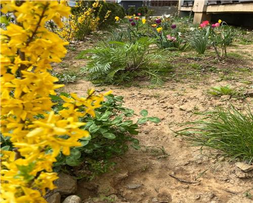 Apartament 3 camere 2 bai si gradina in zona Selimbar