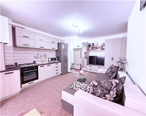 Apartament mobilat etajul 2 cu 2 camere parcare Doamna Stanca