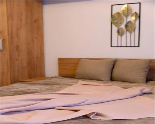 Apartament de LUX cu 2 camere balcon  in Turnisor