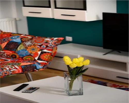 Apartament de LUX cu 2 camere balcon  in Turnisor