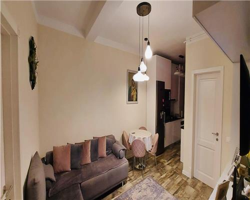 Apartament mobilat 3 camere curte si parcare Calea Surii Mici