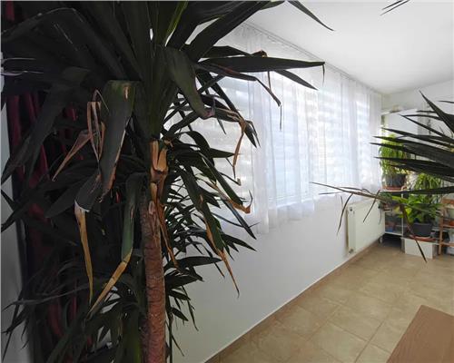 Apartament 2 camere zona Cedonia