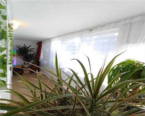 Apartament 2 camere zona Cedonia