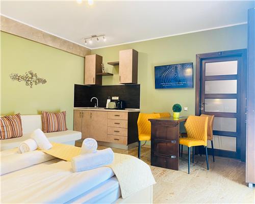 Studio premium CENTRAL | Terasa | Inchiriere flexibila (termen lung / scurt)